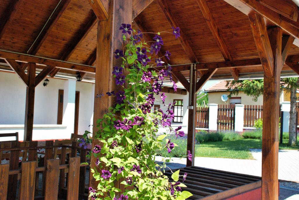 Katica Vendeghaz Hotel Tarcal Buitenkant foto