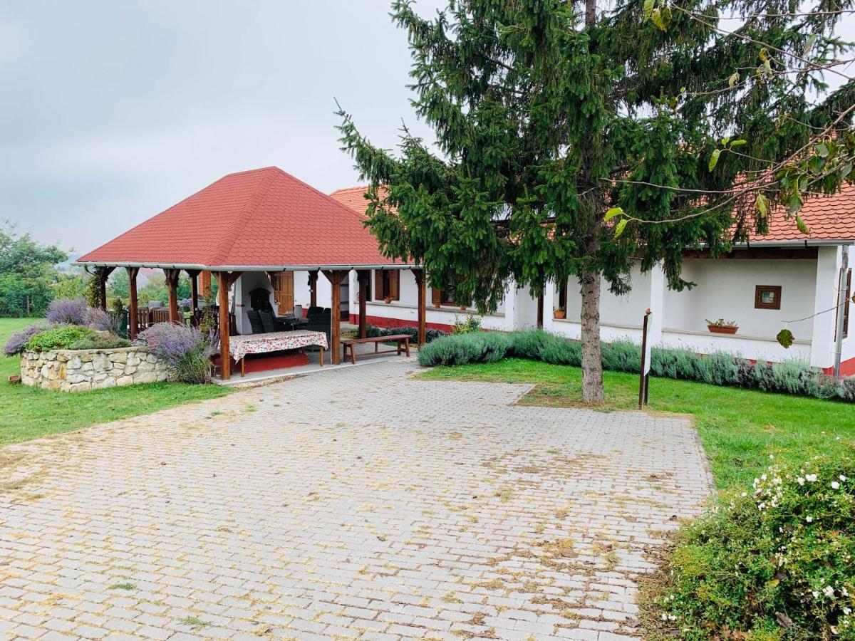 Katica Vendeghaz Hotel Tarcal Buitenkant foto
